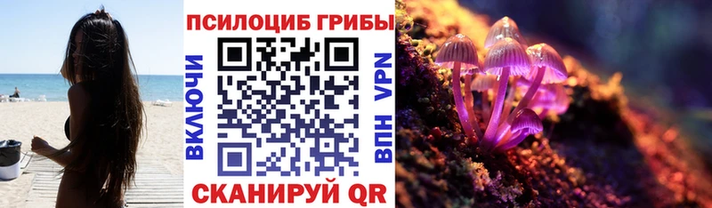 МЕГА маркетплейс  купить  сайты  Опочка  Галлюциногенные грибы ЛСД 